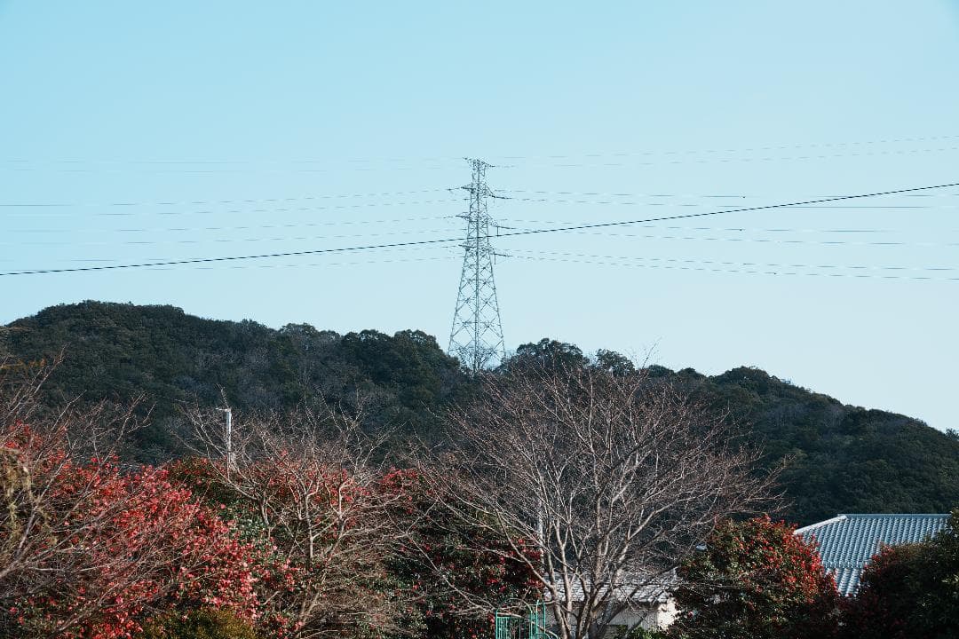 【テスト済安心】SONY SEL2470GM 大三元ズーム F2.8 131