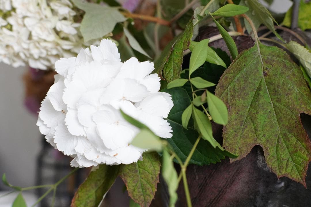 Nikon Ai改 NIKKOR 105mm F2.5