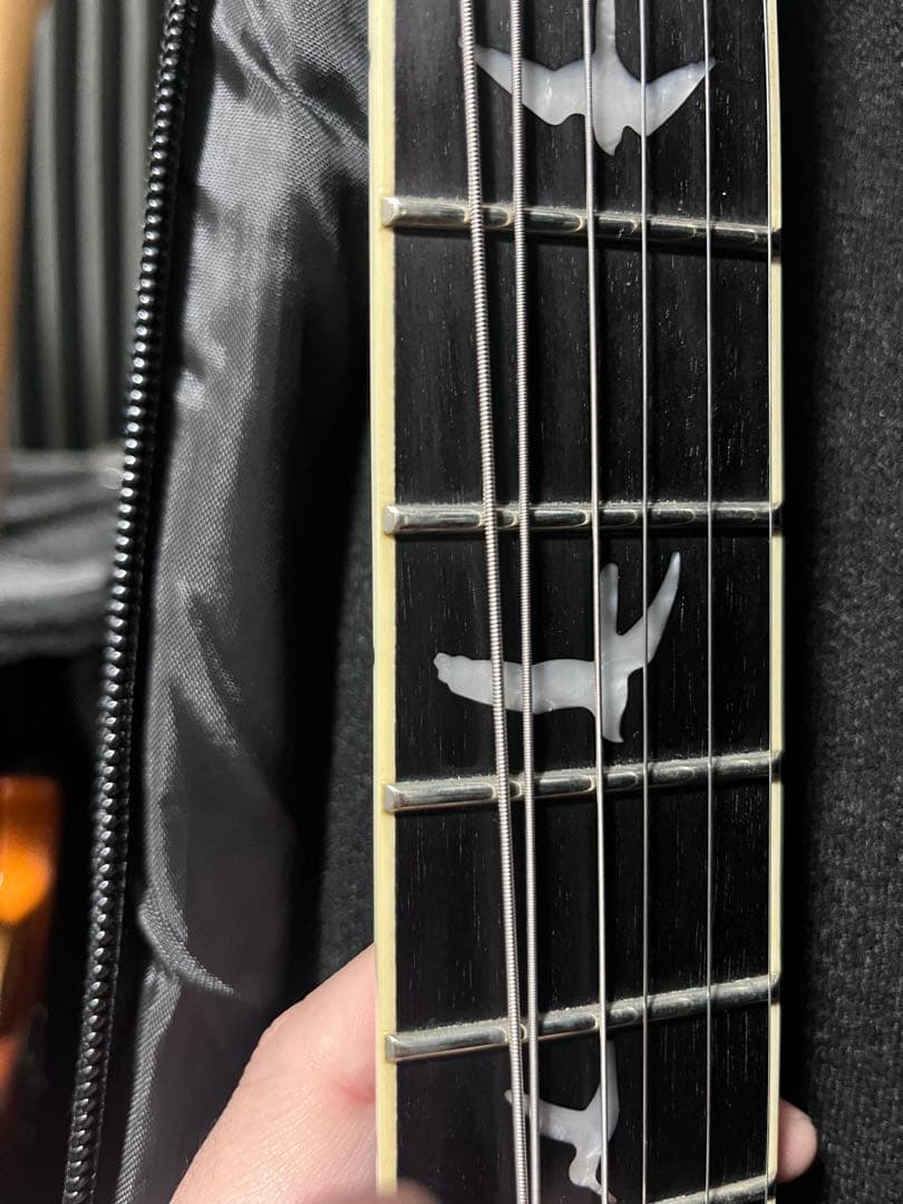 ギター PRS SE Mark Holcomb