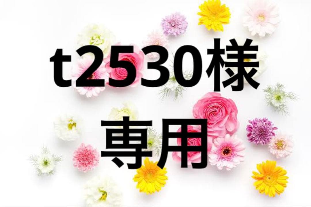 t2530様