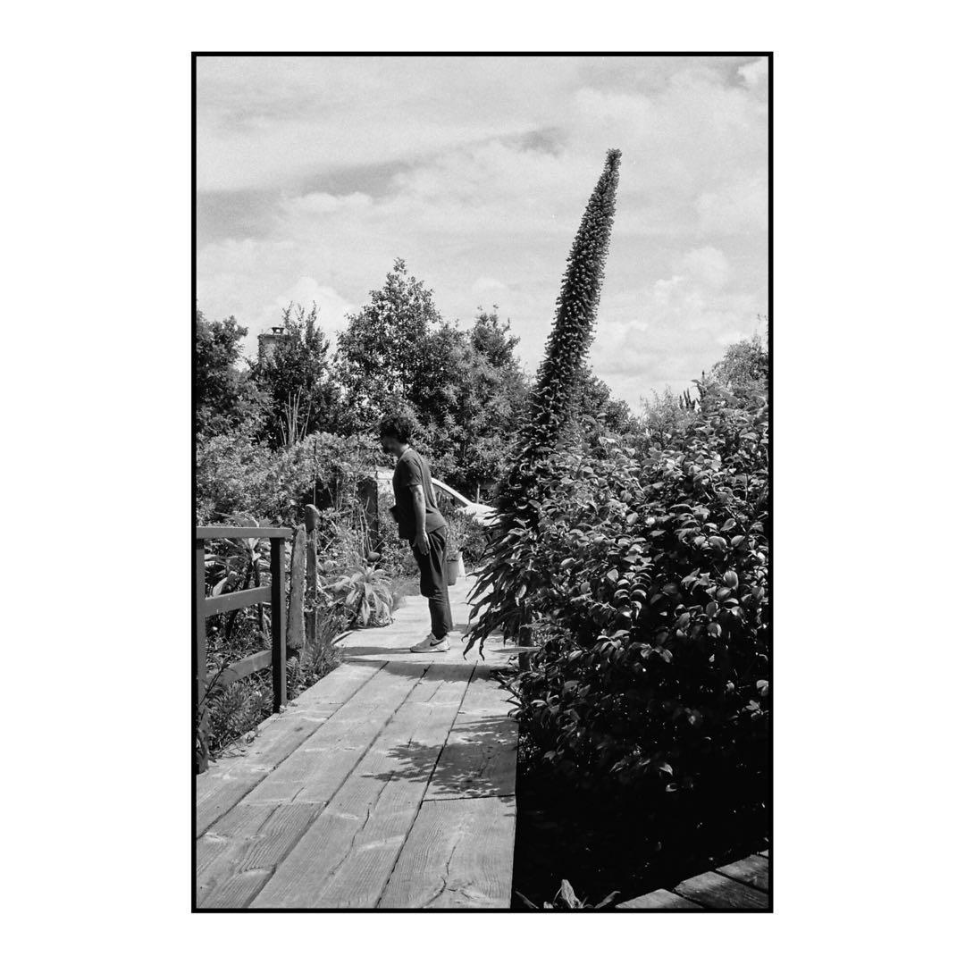 【作例あり】CONTAX T2(データバック付)