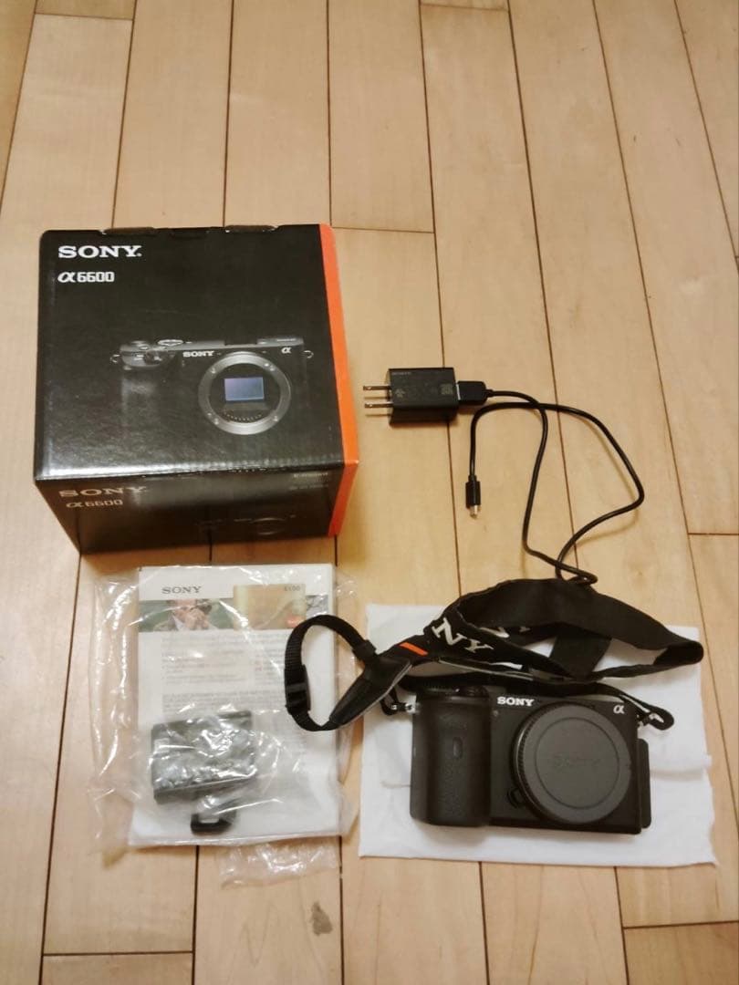 SONY α6600 カメラ本体と箱、バッテリー、充電器、SDカード1枚