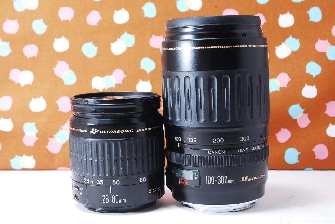 ✨美品✨ショット数1993回✨Canon Kiss X3 ダブルレンズセット