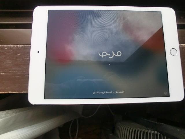 Apple iPad mini 第4世代 128GB Wi-Fiモデル