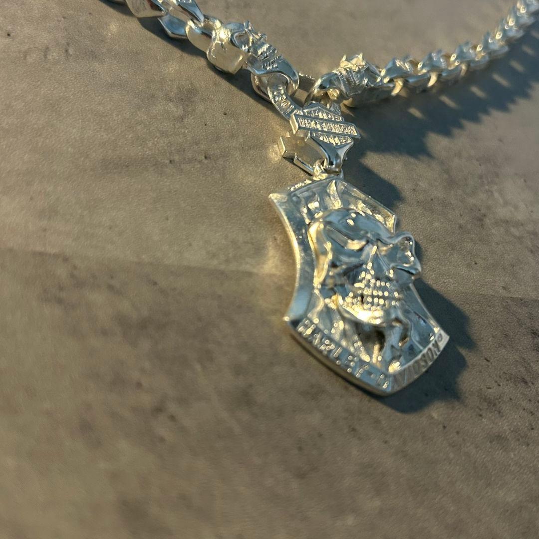 【早い者勝ち】VINTAGEメンズレトロ S925銀のネックレス シルバースカル