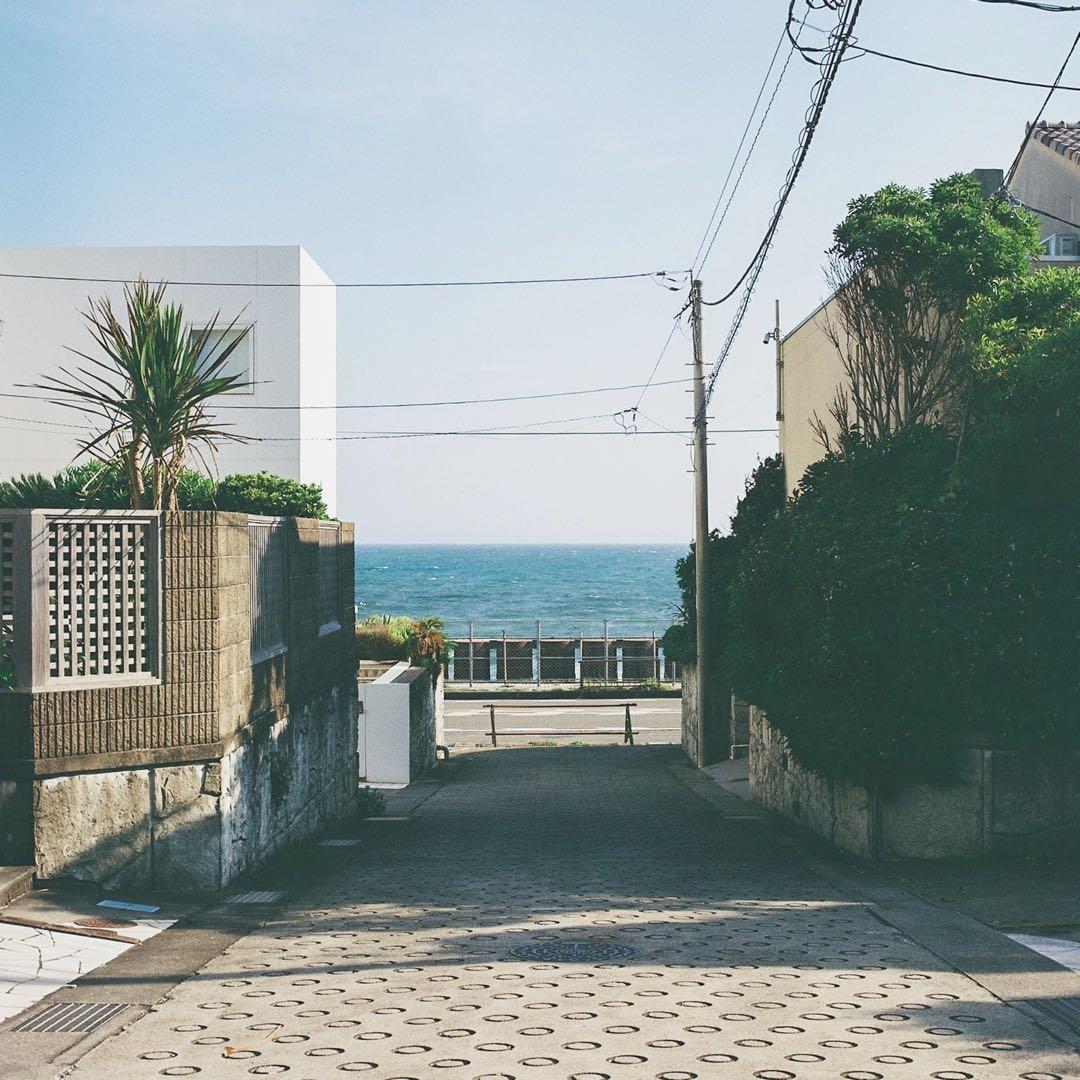 Hasselblad 500c/m A12・A16付