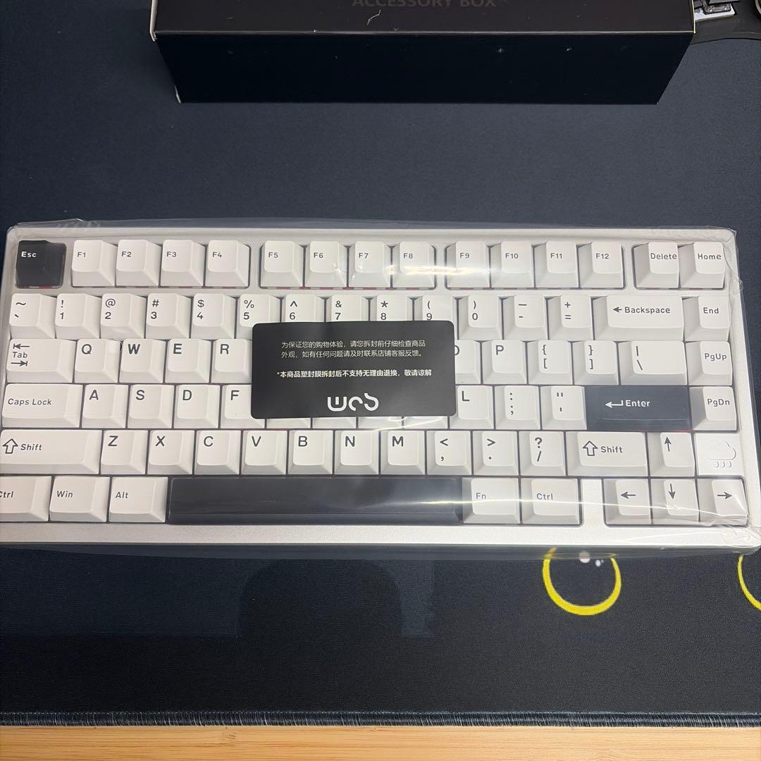 RAINY75 PRO シルバー