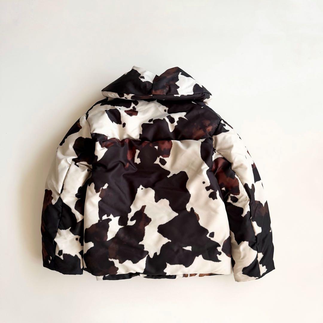 ドリスヴァンノッテン 22AW ダウン マルチカラー　コレクション　ジャケット