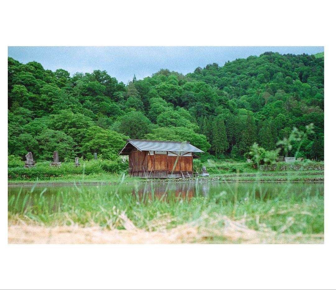 作例あり ライカ Leica M5 Color-Skopar 35mm F2.5