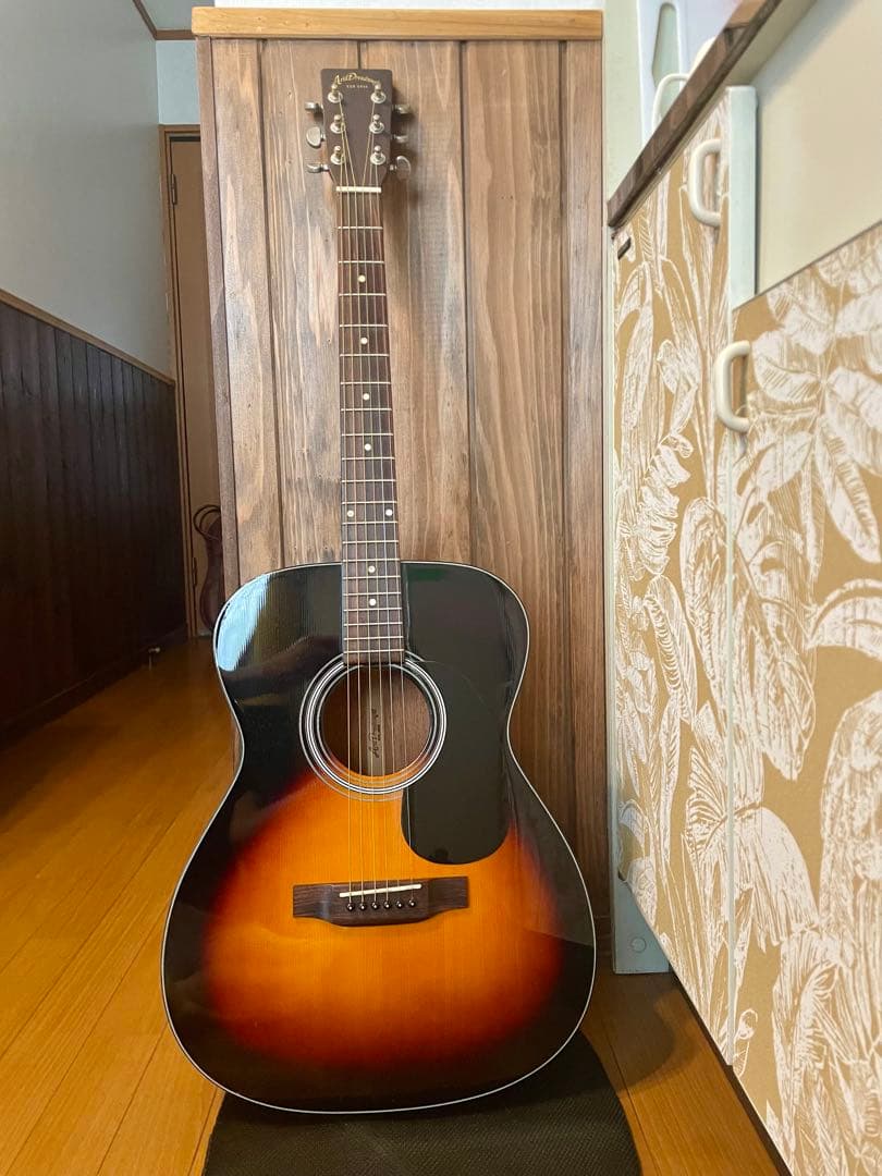 Aria Dreadnought アコースティックギター 美品 AF280-BS