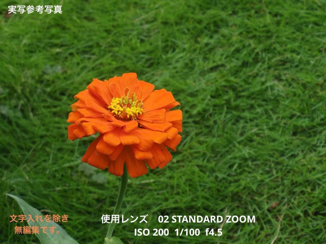 PENTAX Q本体、 標準ズーム、望遠ズーム、フィッシュアイ　セット