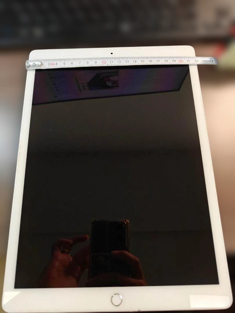 美*雪様 ジャンク品　Apple iPad 12.9インチ シルバー