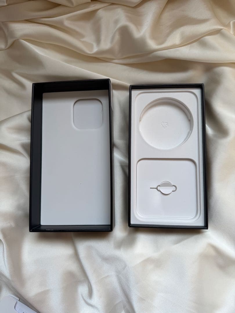 Apple iPhone 13 Pro 256GB シルバー 本体 箱付き