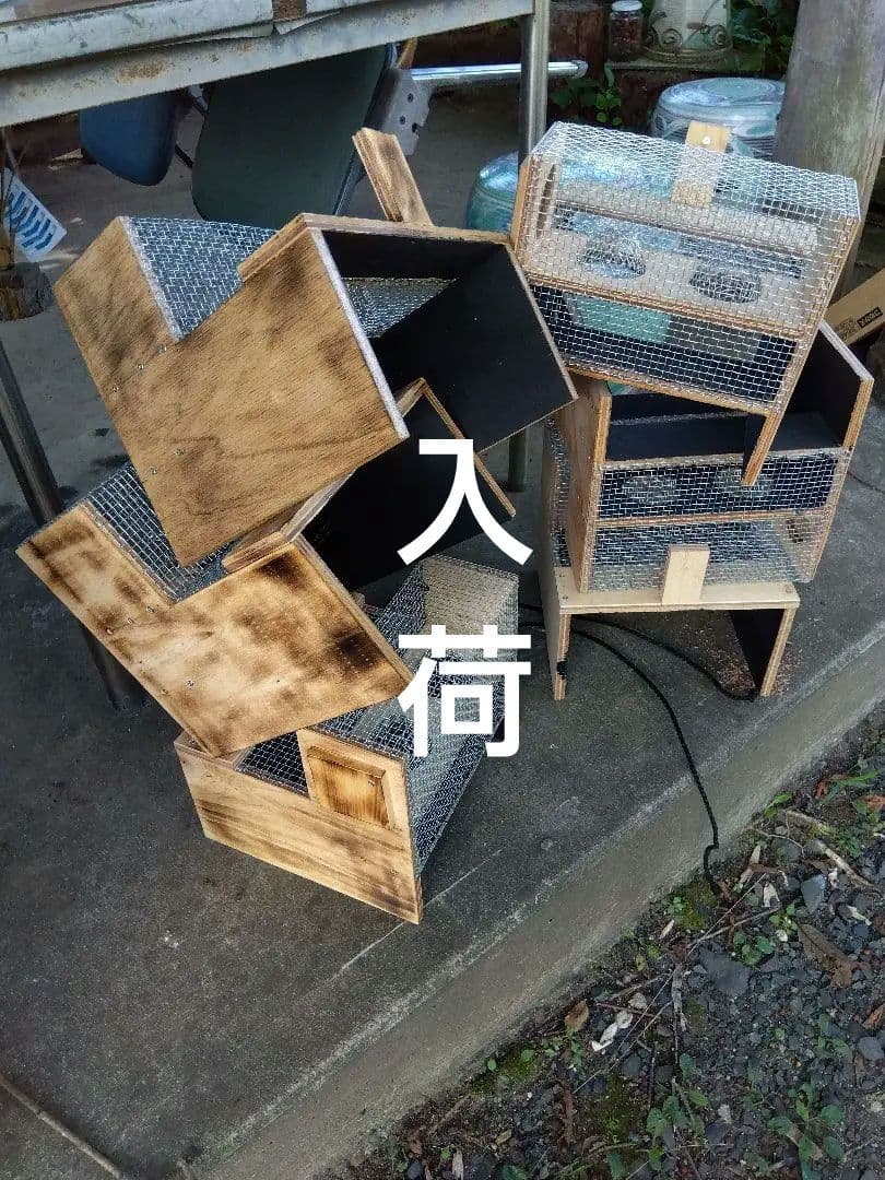 スズメバチ捕獲器 ２個売り 別名 スズメバチ生捕器