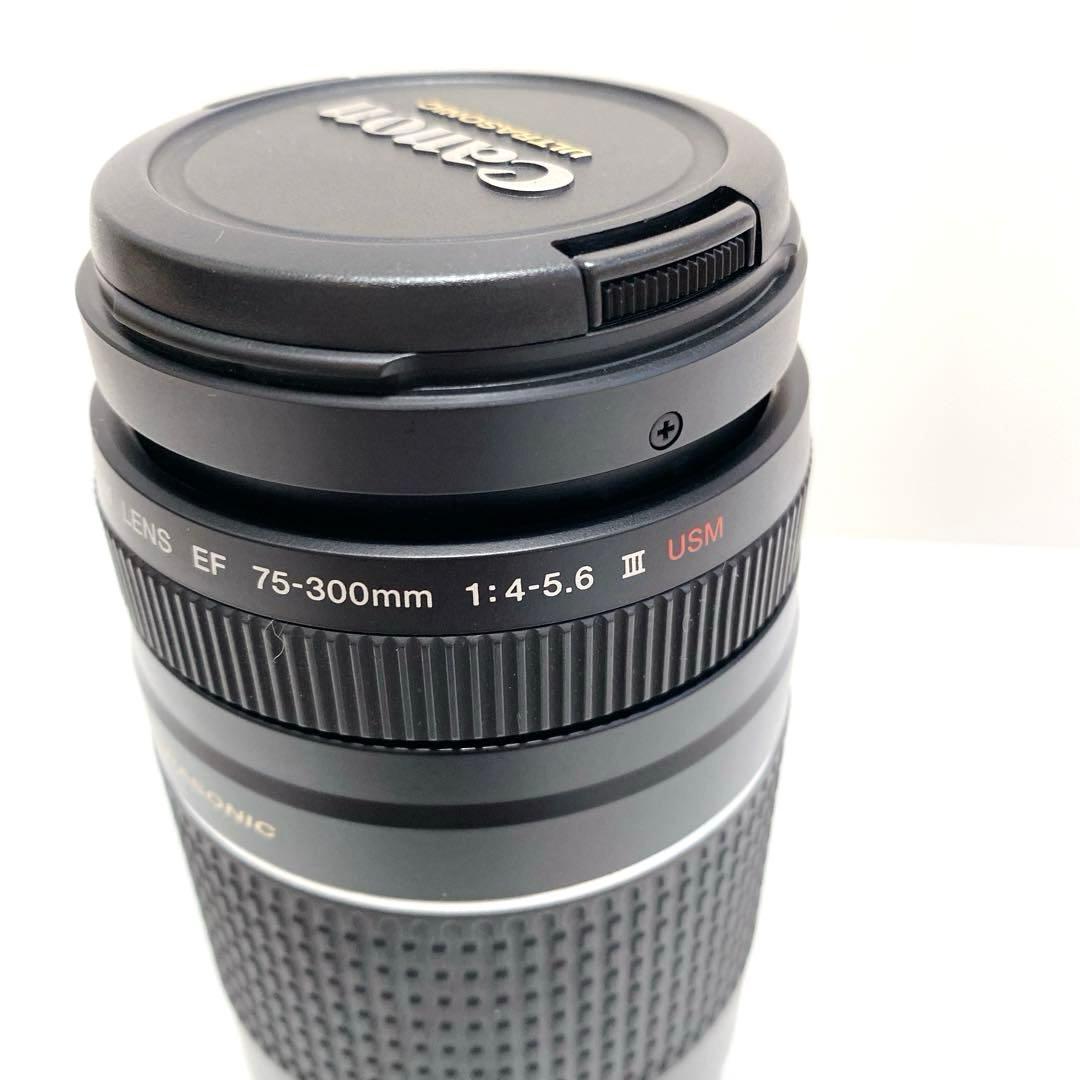 Canon AFレンズ EF 75-300mm F4-5.6 III USM