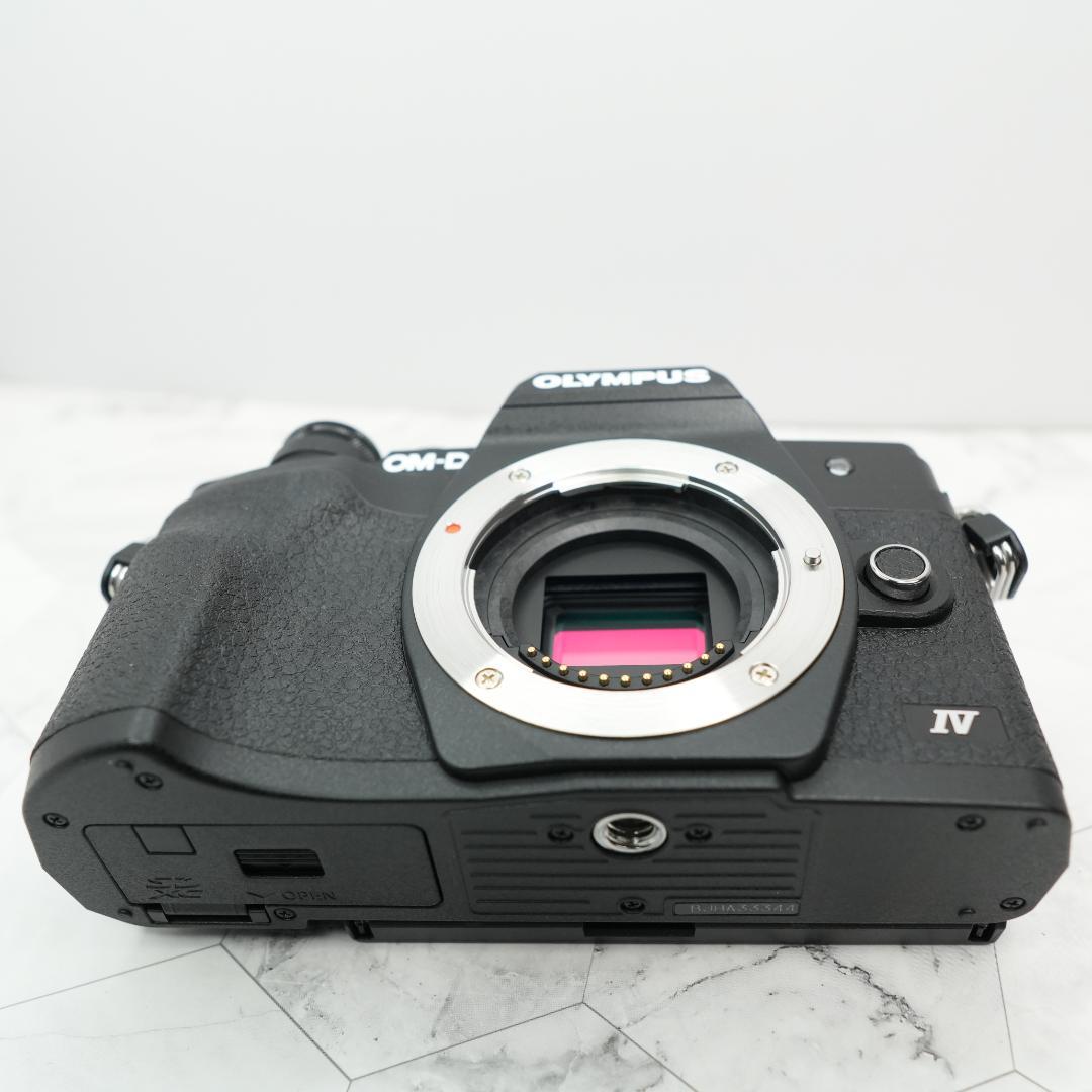 【極美品/ショット数732】OLYMPUS OM-D E-M10 Mark IV