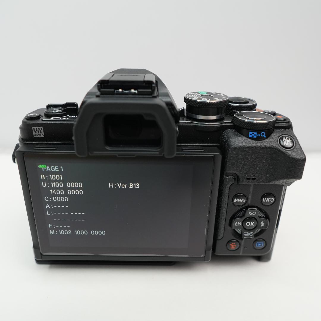 【極美品/ショット数732】OLYMPUS OM-D E-M10 Mark IV