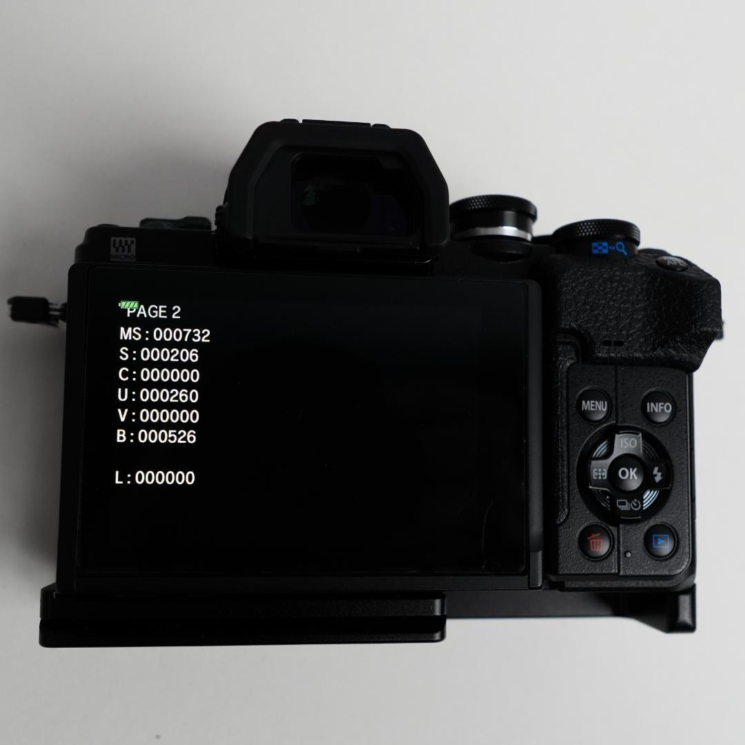 【極美品/ショット数732】OLYMPUS OM-D E-M10 Mark IV