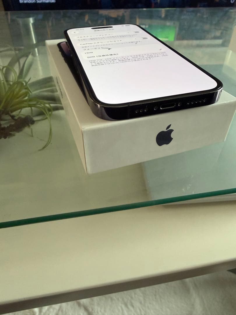 スマートフォン本体 iPhone14 Pro 1TB