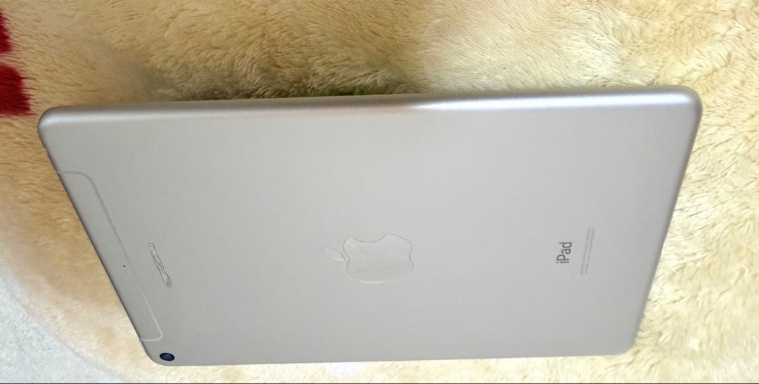 Apple iPad mini第5世代　256GB SIMフリー