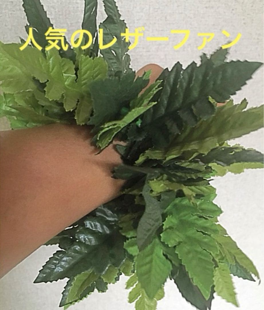 フラダンス 【レザーファーン】ブレスレット 2個セットl.