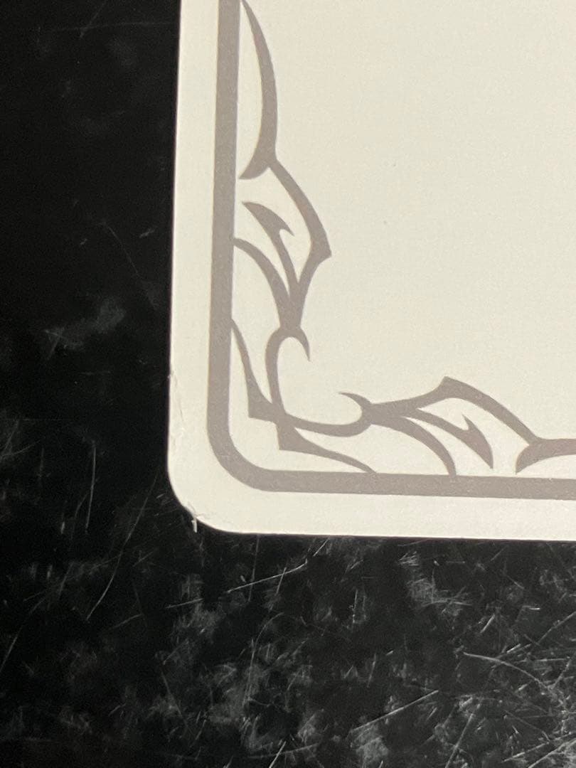 境界を超えし者・ドロシー　リーダー