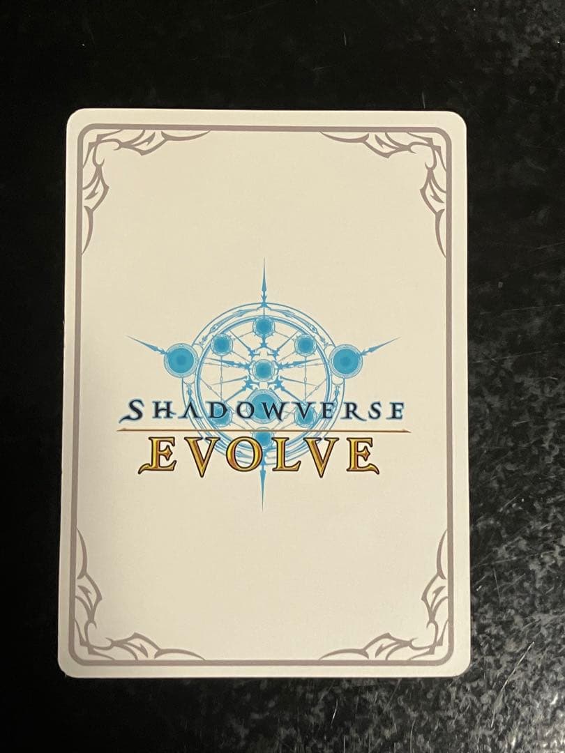 境界を超えし者・ドロシー　リーダー