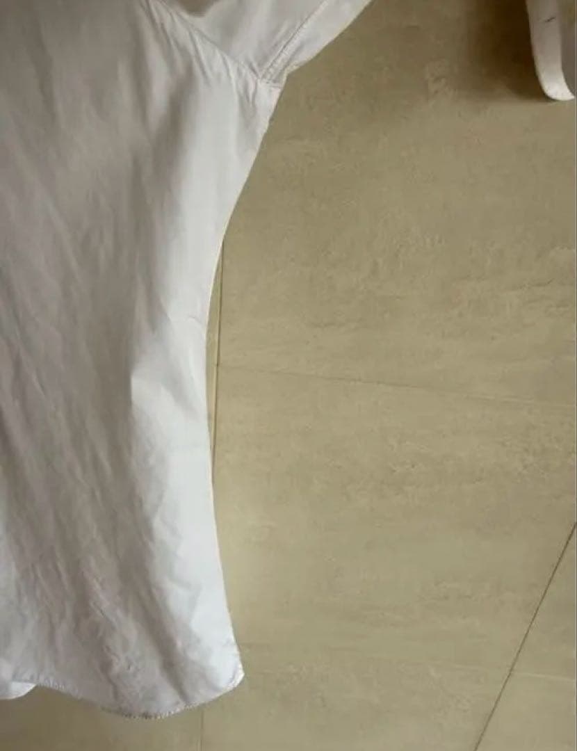 BARBA（バルバ）DANDY LIFE ブロードソリッド カッターウェイ 41