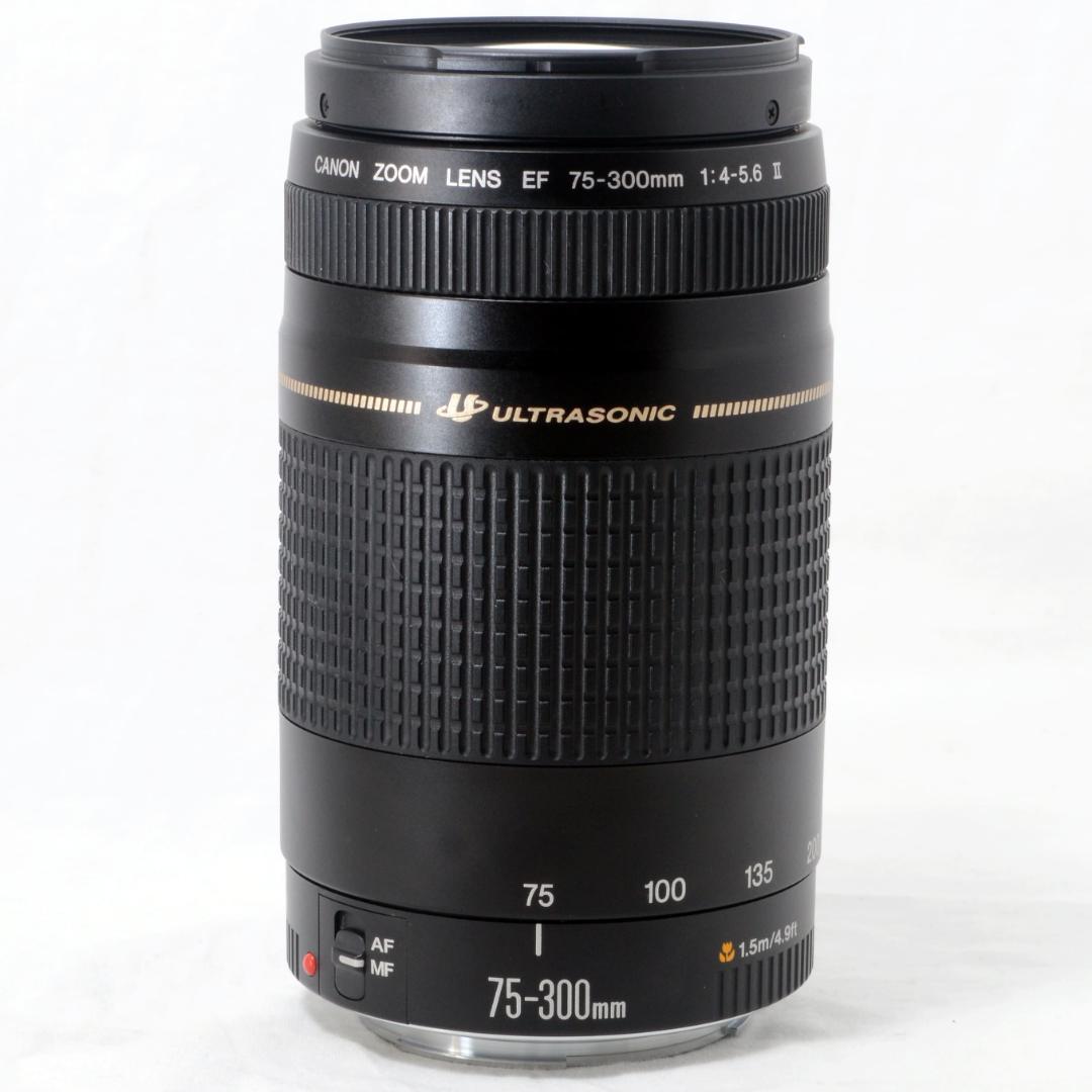 ★美品★Canon キャノン EF 75-300mm F4-5.6 Ⅱ USM