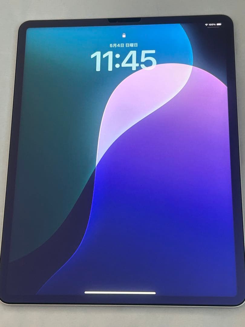 【giugiu】iPad Pro12.9inch Wi-Fi256GB