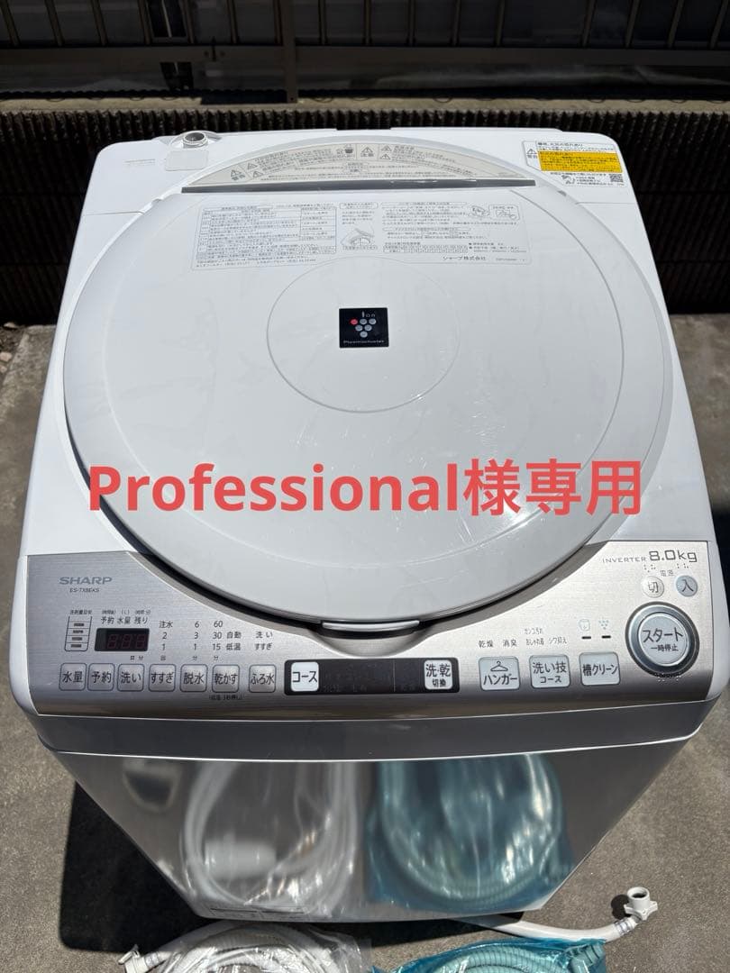 洗濯機 Professional