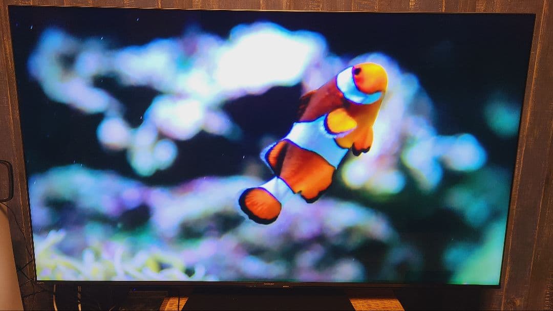 SHARP AQUOS XLED 4T-C65DP1 液晶テレビ シャープ 4K