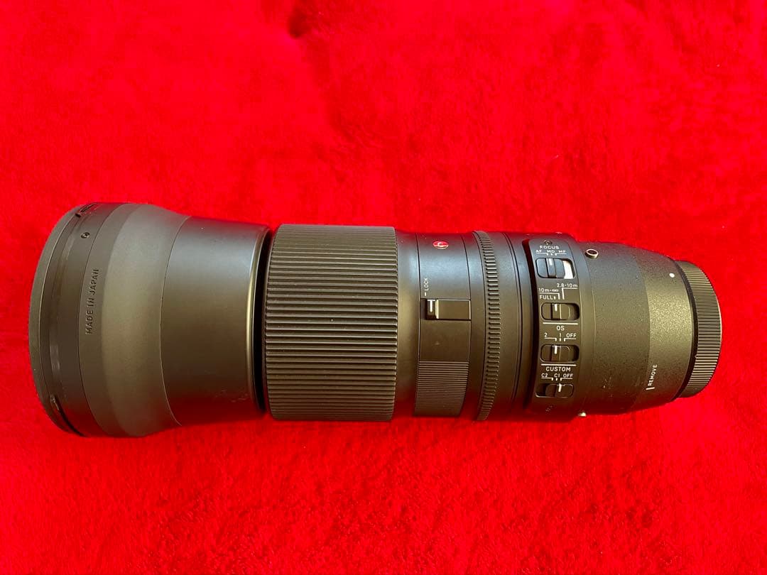 ラスト！SIGMA 150-600mm F5-6.3 DG OS HSM