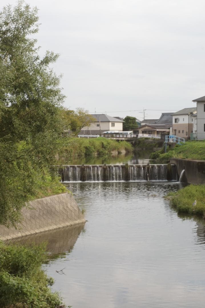 【富岡光学 ヤシカ】 Auto Yashinon-DX 50mm F2