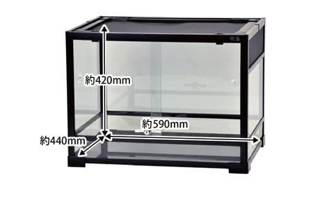 Cindy Entac様　パンテオン6045未使用未開封　1台