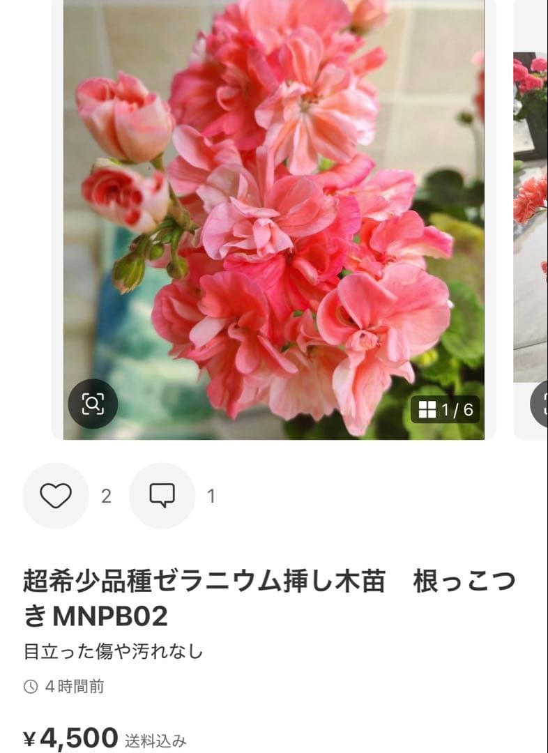 リンク再作成　専用リンク　4種類