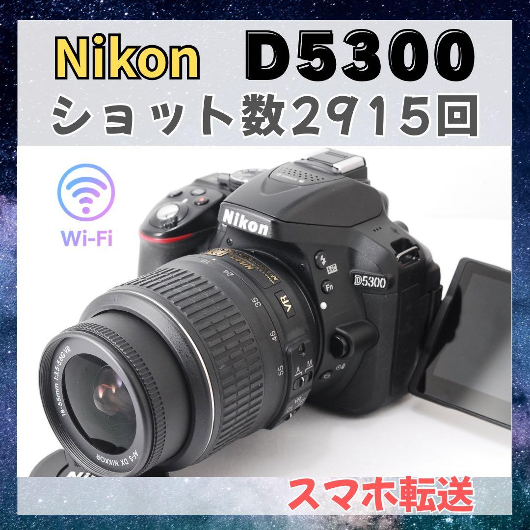低ショット数✨Nikon D5300 レンズセット✨Wi-Fi搭載機 付属品多数