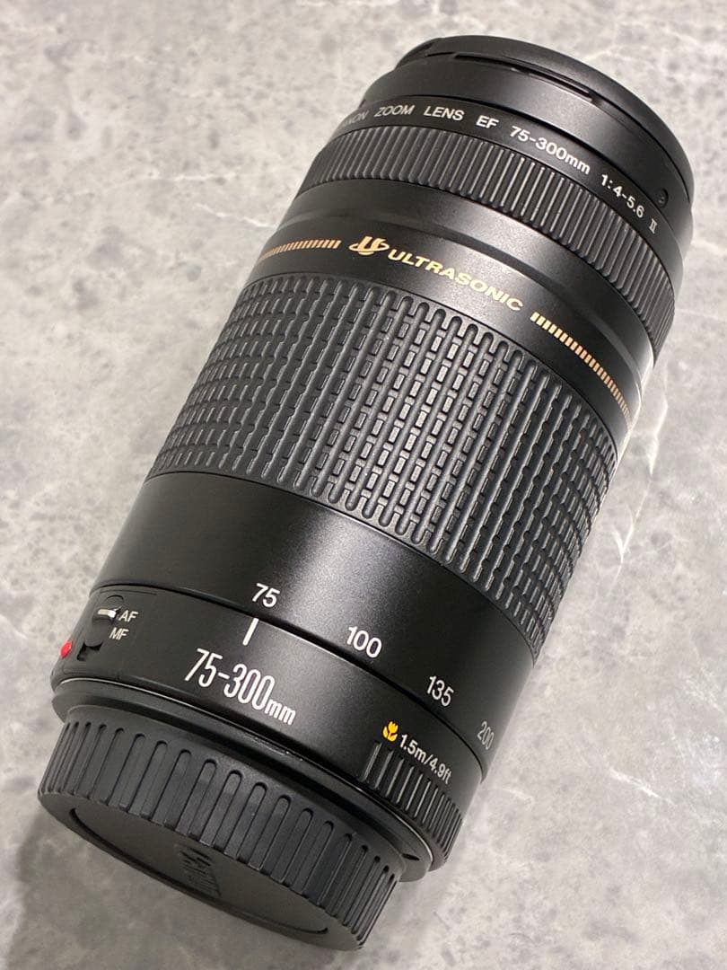 ⭐️美品⭐️キャノン Canon EF 75-300mm F4-5.6 II USM