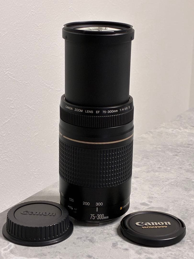 ⭐️美品⭐️キャノン Canon EF 75-300mm F4-5.6 II USM