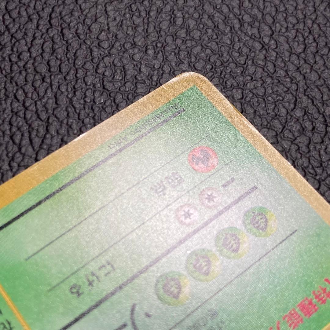 フシギバナ 初版　旧裏　マーク無し