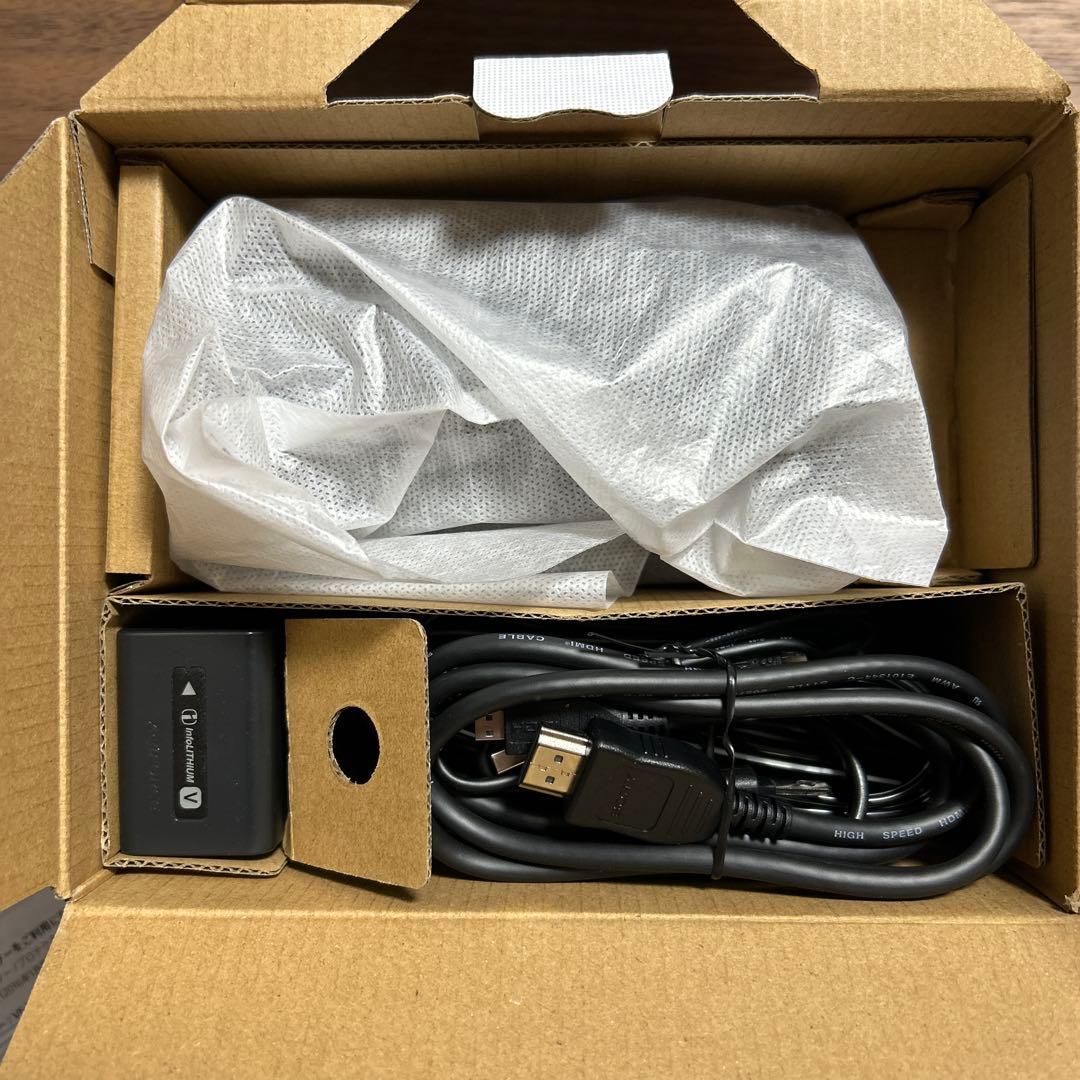 SONY 4K ハンディカム FDR-AX45A