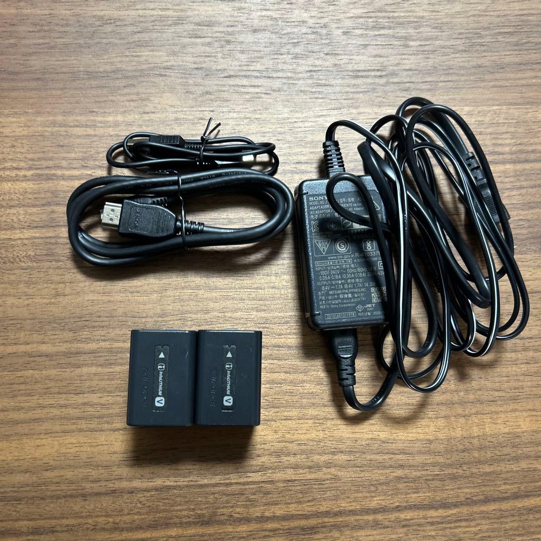 SONY 4K ハンディカム FDR-AX45A