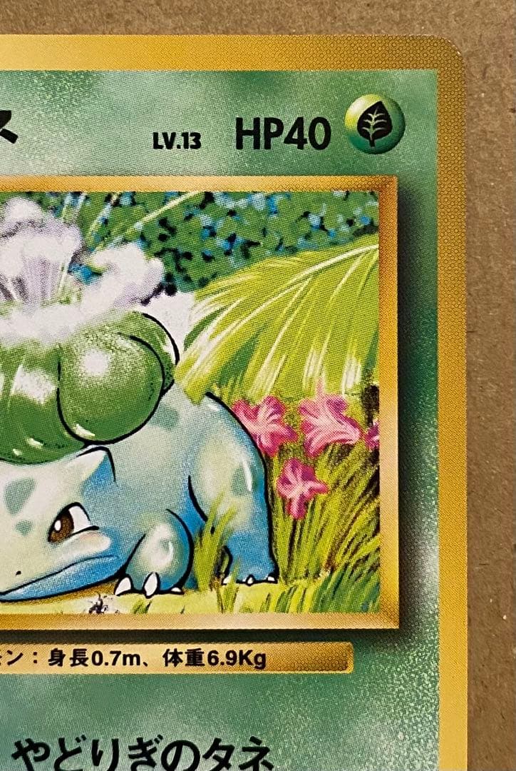 フシギダネ 旧裏 No.001 ポケットモンスターカードゲーム 再販 1996