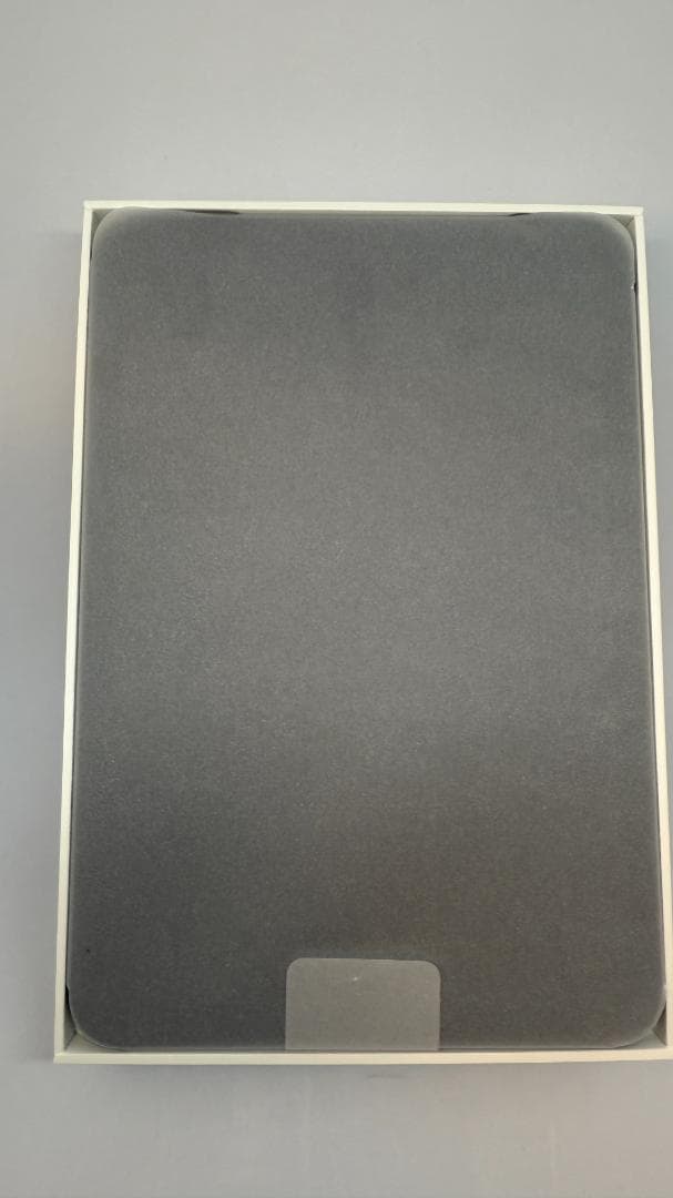 【ANAロゴ刻印】iPad mini Wi-Fiモデル 64GB スペースグレイ