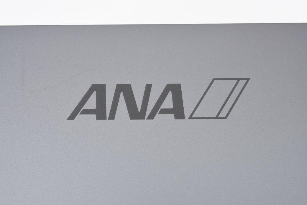 【ANAロゴ刻印】iPad mini Wi-Fiモデル 64GB スペースグレイ