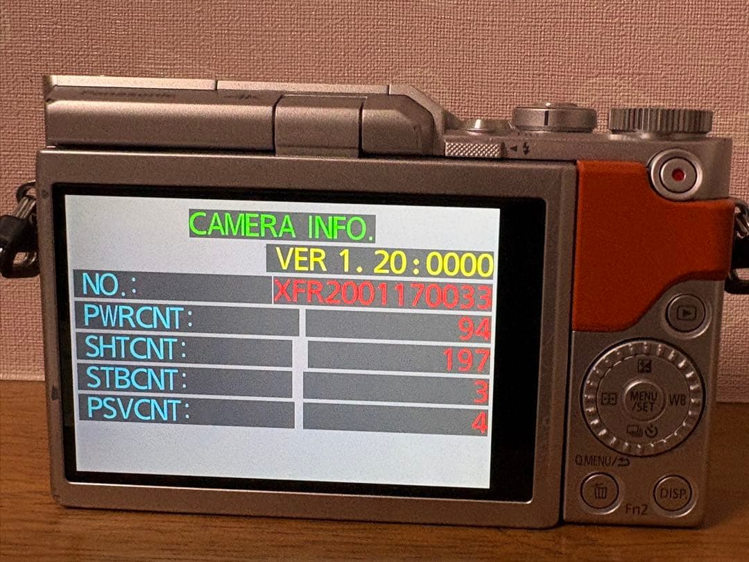 【新品級】LUMIX GF10 Wi-Fi ショット数197回　ルミックス