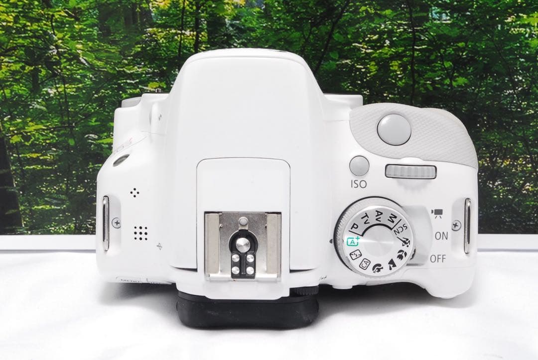 【美品】Canon EOS Kiss X7 ホワイト デジタル一眼カメラ