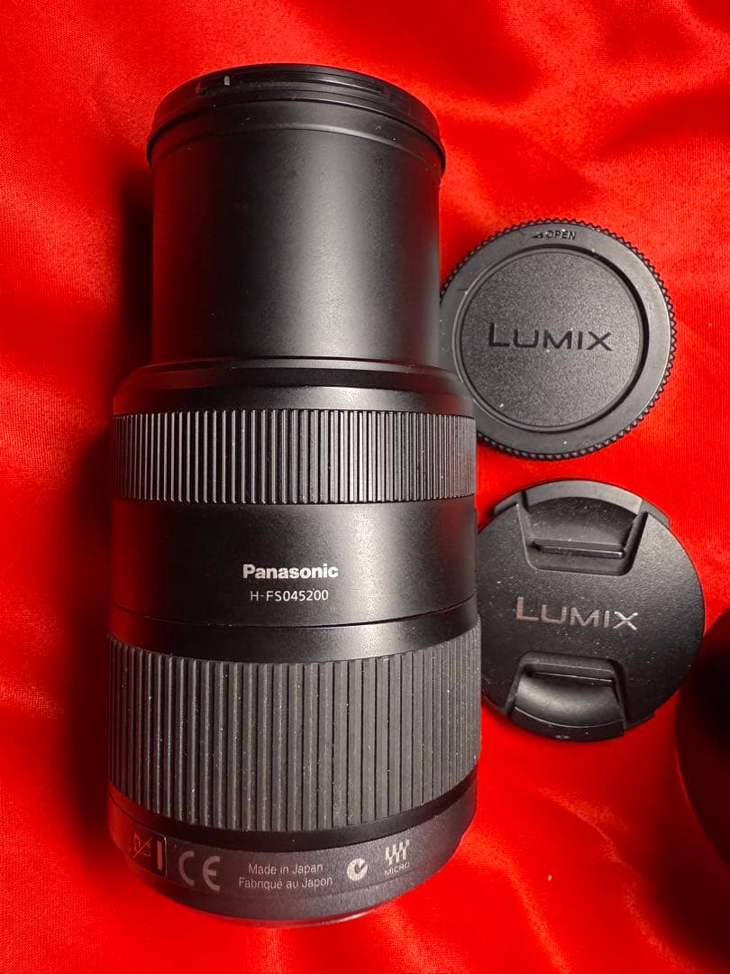 【送料無料】LUMIX 45-200mm f/4.0-5.6 レンズ
