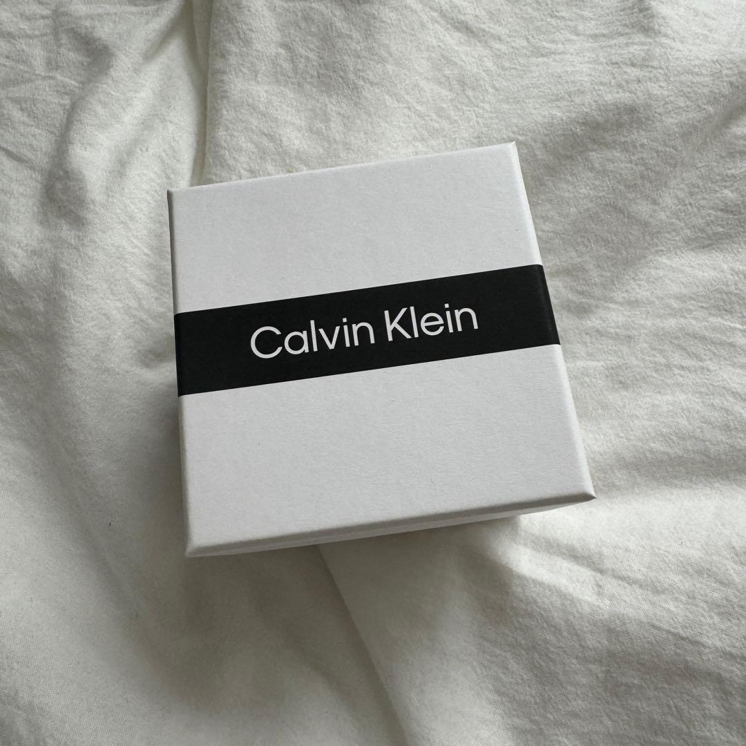   カルバンクライン 時計 腕時計 Watch 45MM