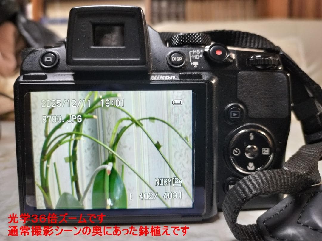 驚異の36倍ズーム！Nikon COOLPIX P500高倍率 バリアングル液晶